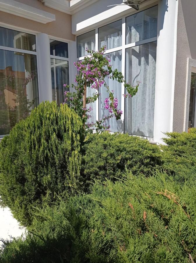 Villa Gregovica &T 2 Póla Kültér fotó
