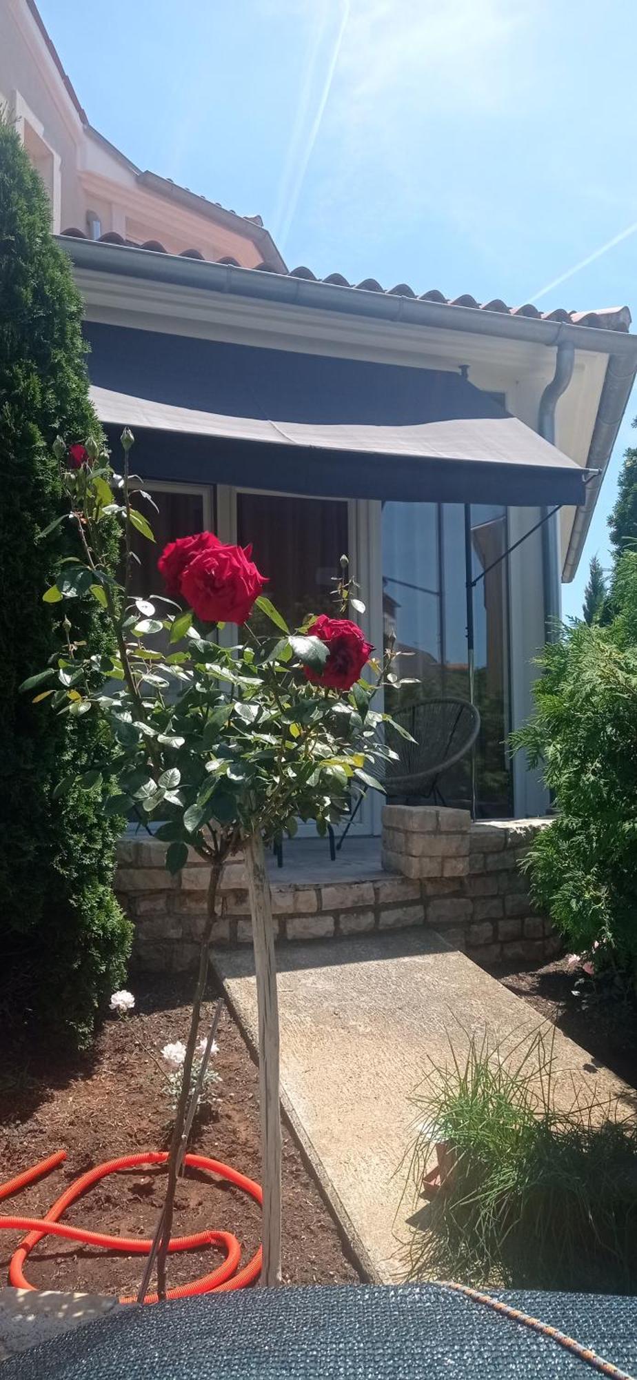 Villa Gregovica &T 2 Póla Kültér fotó